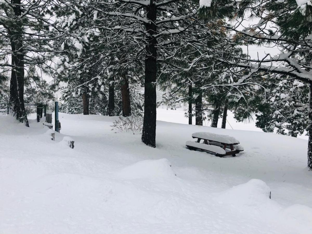 Mountain View Cabins Wrightwood Extérieur photo
